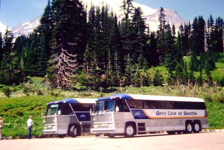 Gray Line MCI MC8 at Mt Rainier